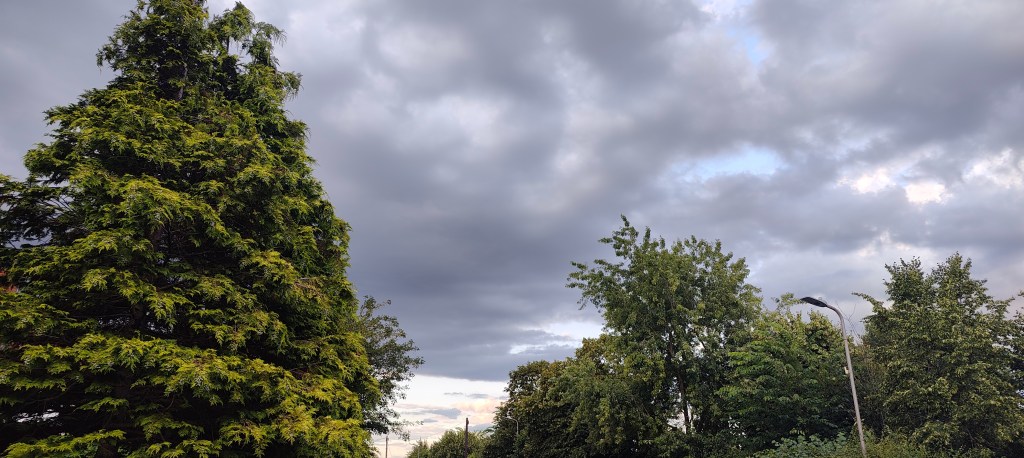 The Long Not&nbsp;Summer